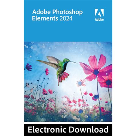 Adobe Stock 2025 Free Download No Activation
